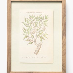 McGee & Co Pomegranate Tree