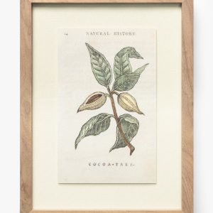 McGee & Co Cocoa Tree