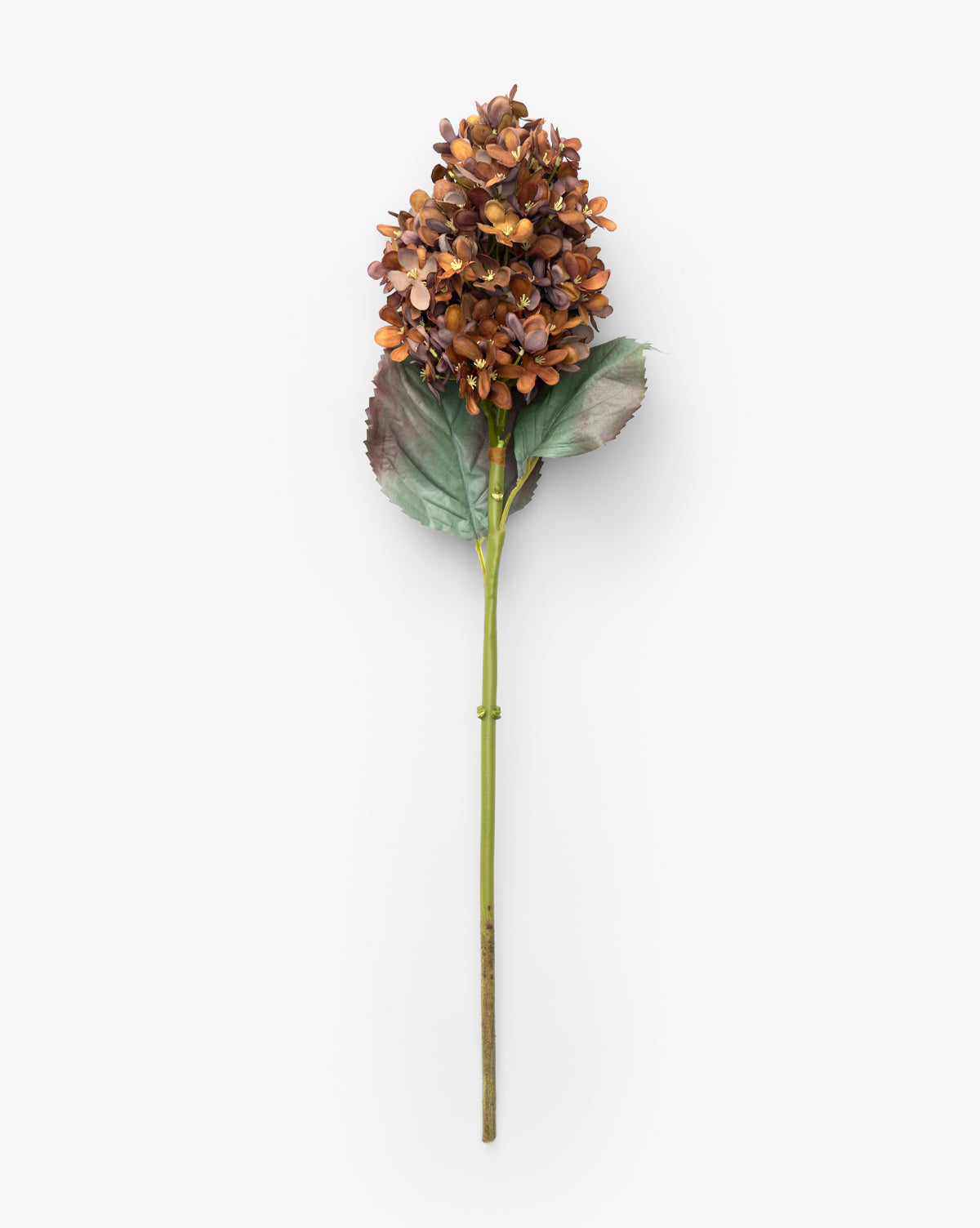 McGee & Co 23" Burgundy Cone Hydrangea