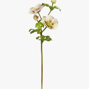 McGee & Co 18" Hellebores Rose