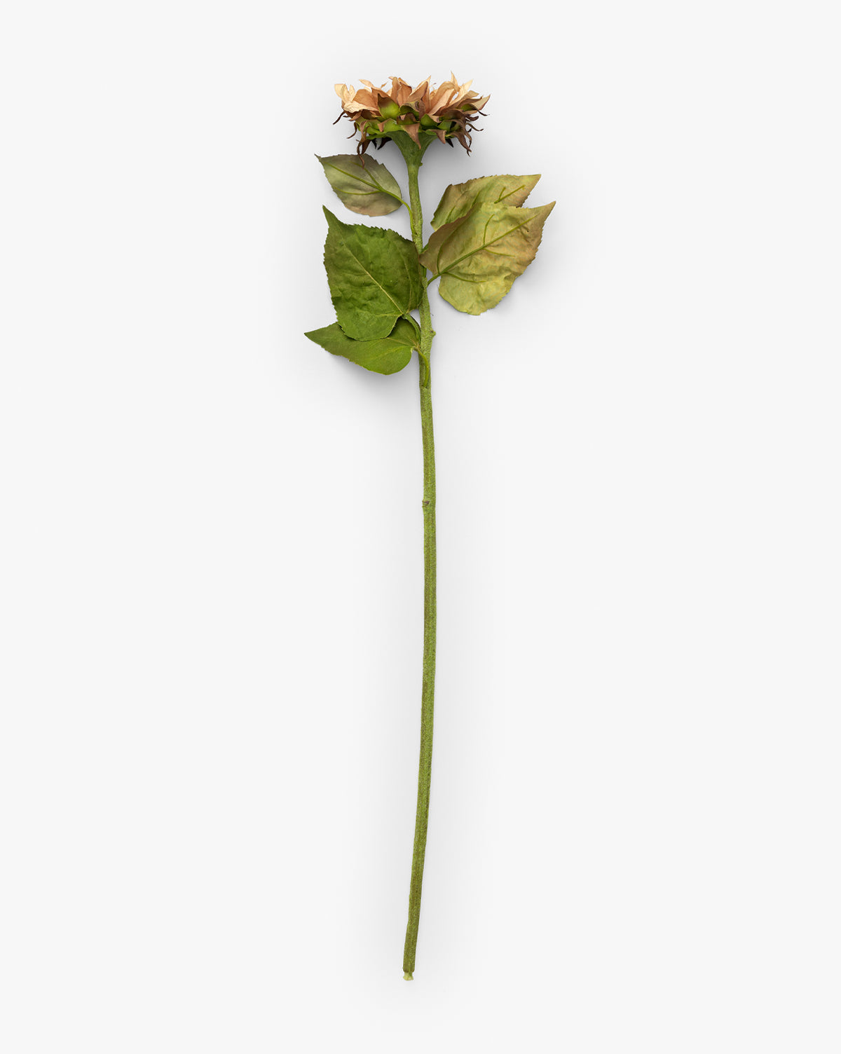 McGee & Co 30" Sunflower Faux Branch