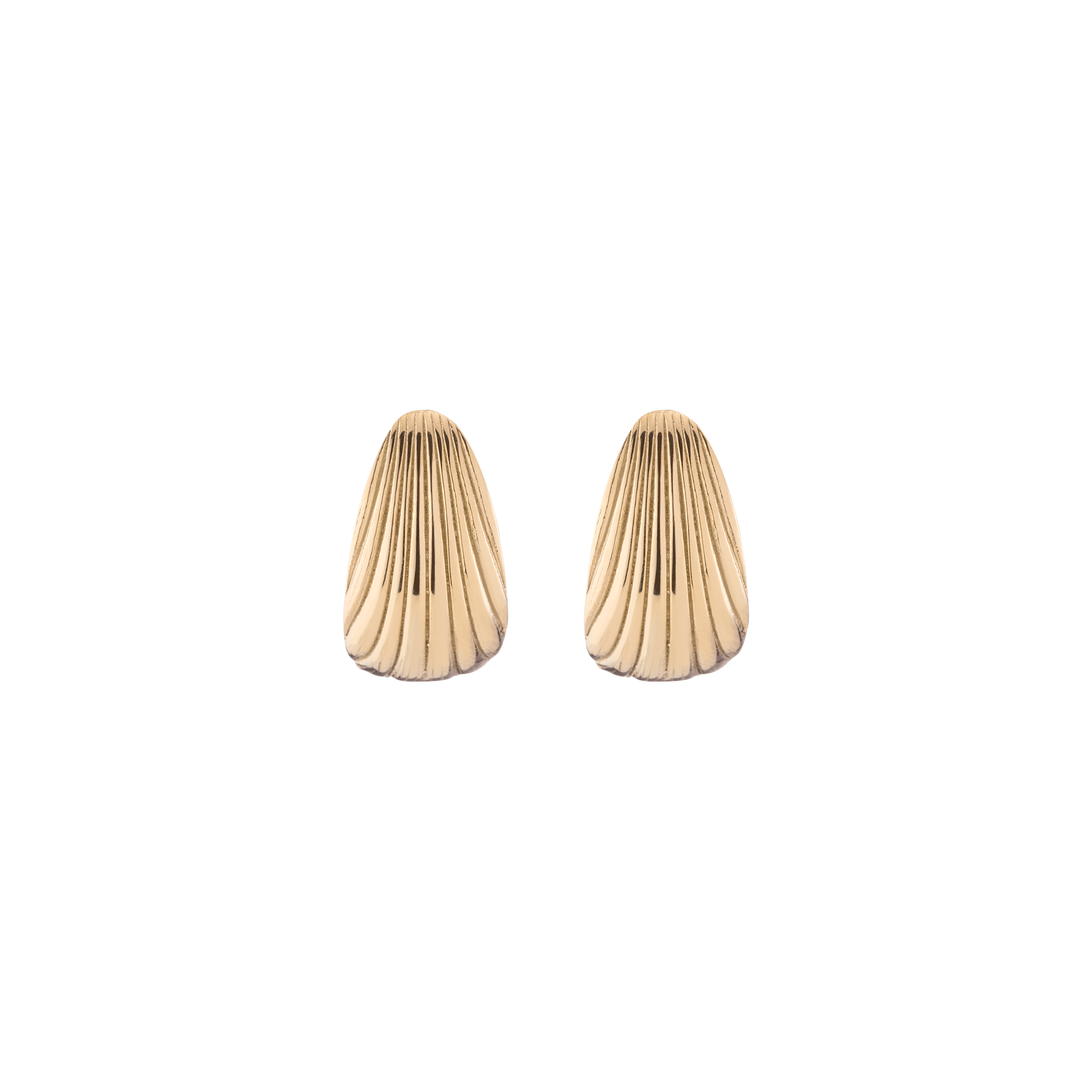 Auratenewyork Shell Hinged Hoop Earrings