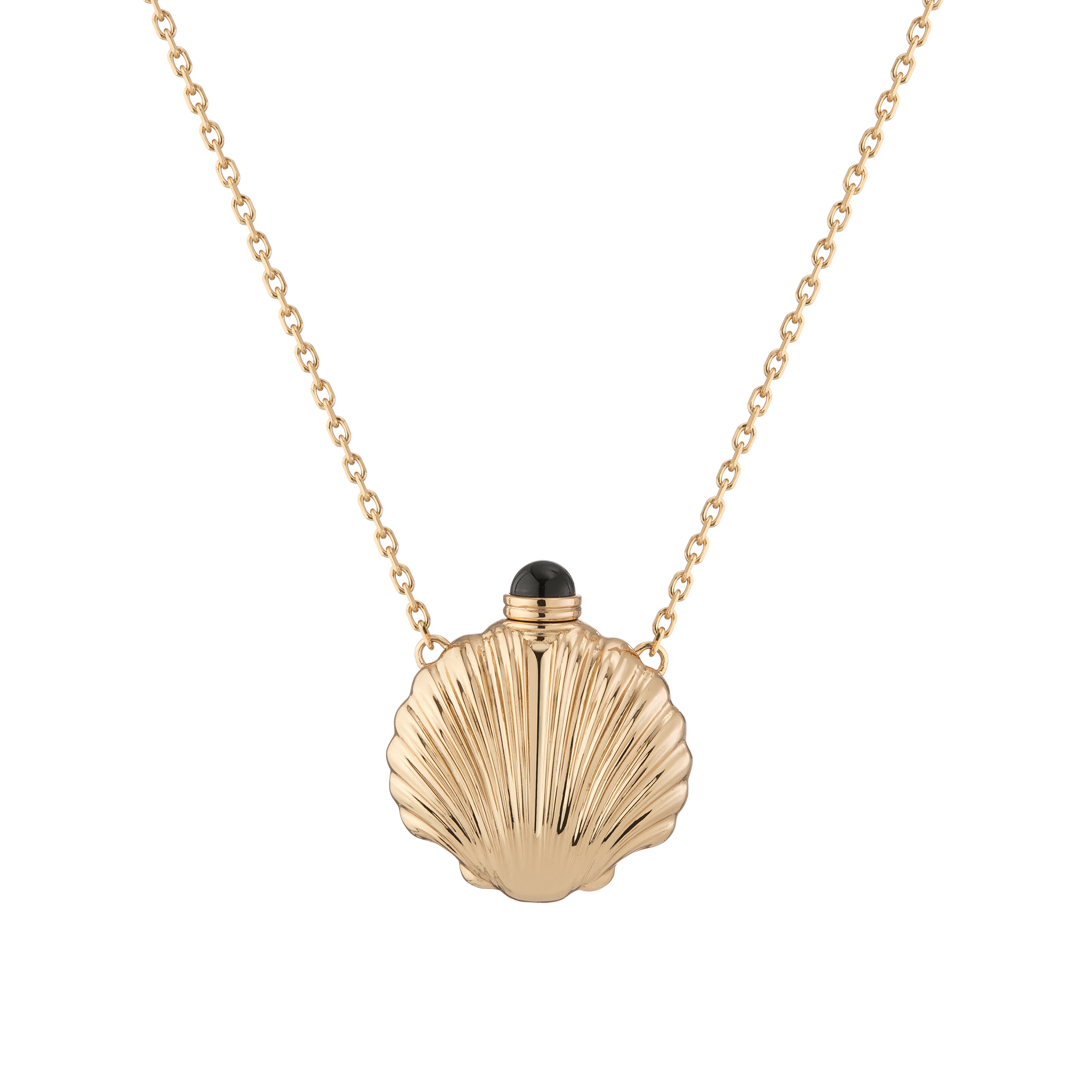 Auratenewyork Seashell Bottle Necklace