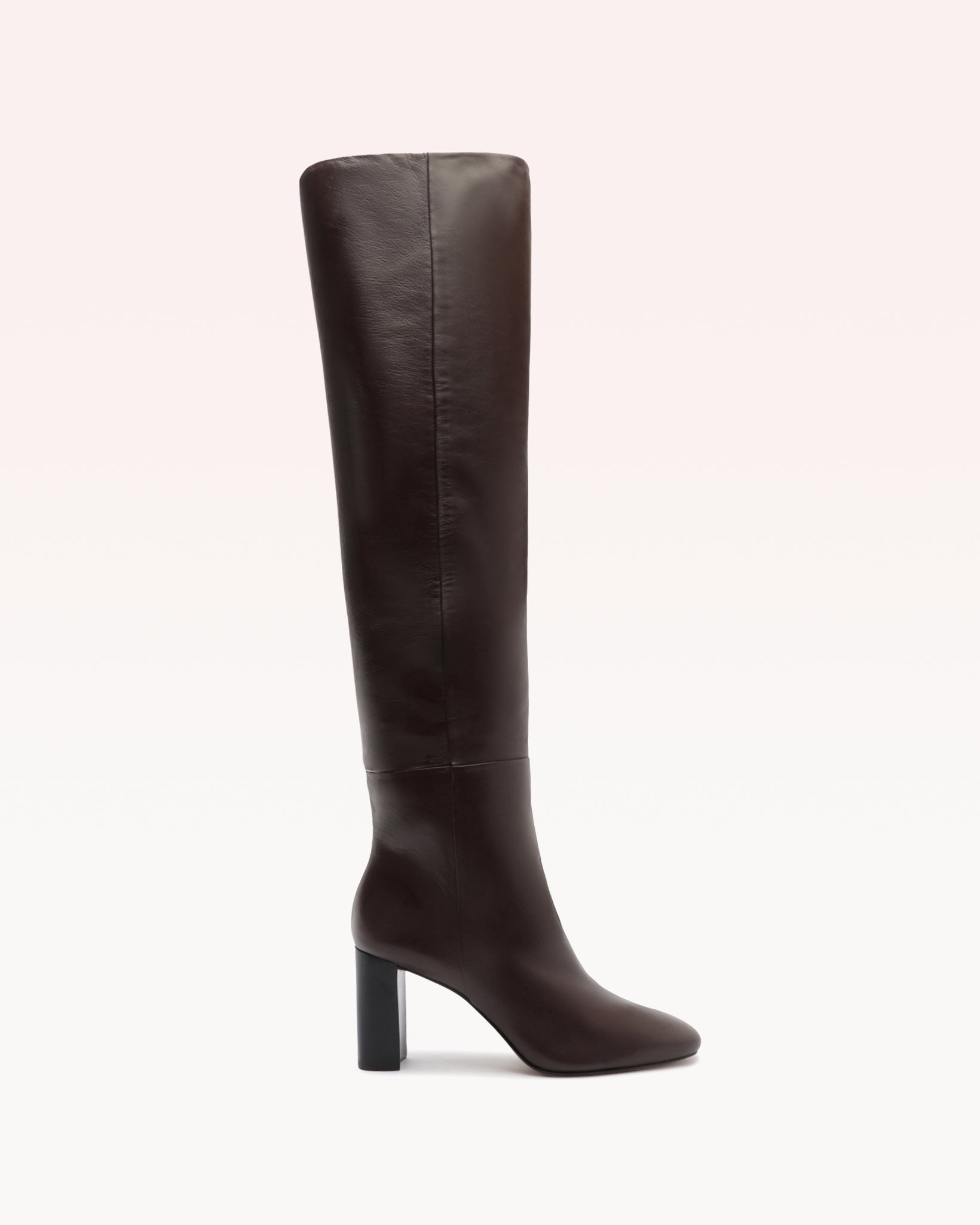 Alexandre Birman Anna Slouch 70 Dark Plum