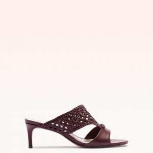 Alexandre Birman Lia Mule 60 Deep Blush
