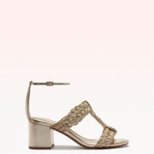 Alexandre Birman Thalia 60 Golden