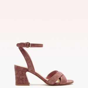 Alexandre Birman Grace 60 Sandal Clay