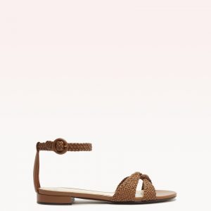 Alexandre Birman Sabrina Flat Espresso