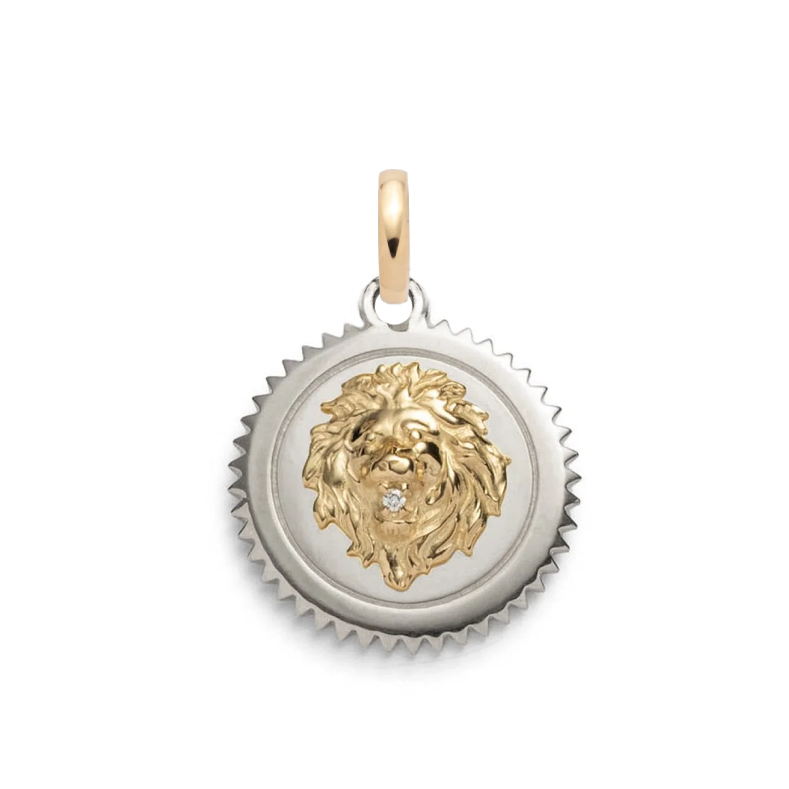 Foundrae Strength | Medium Medallion | Diamond, Mixed Gold