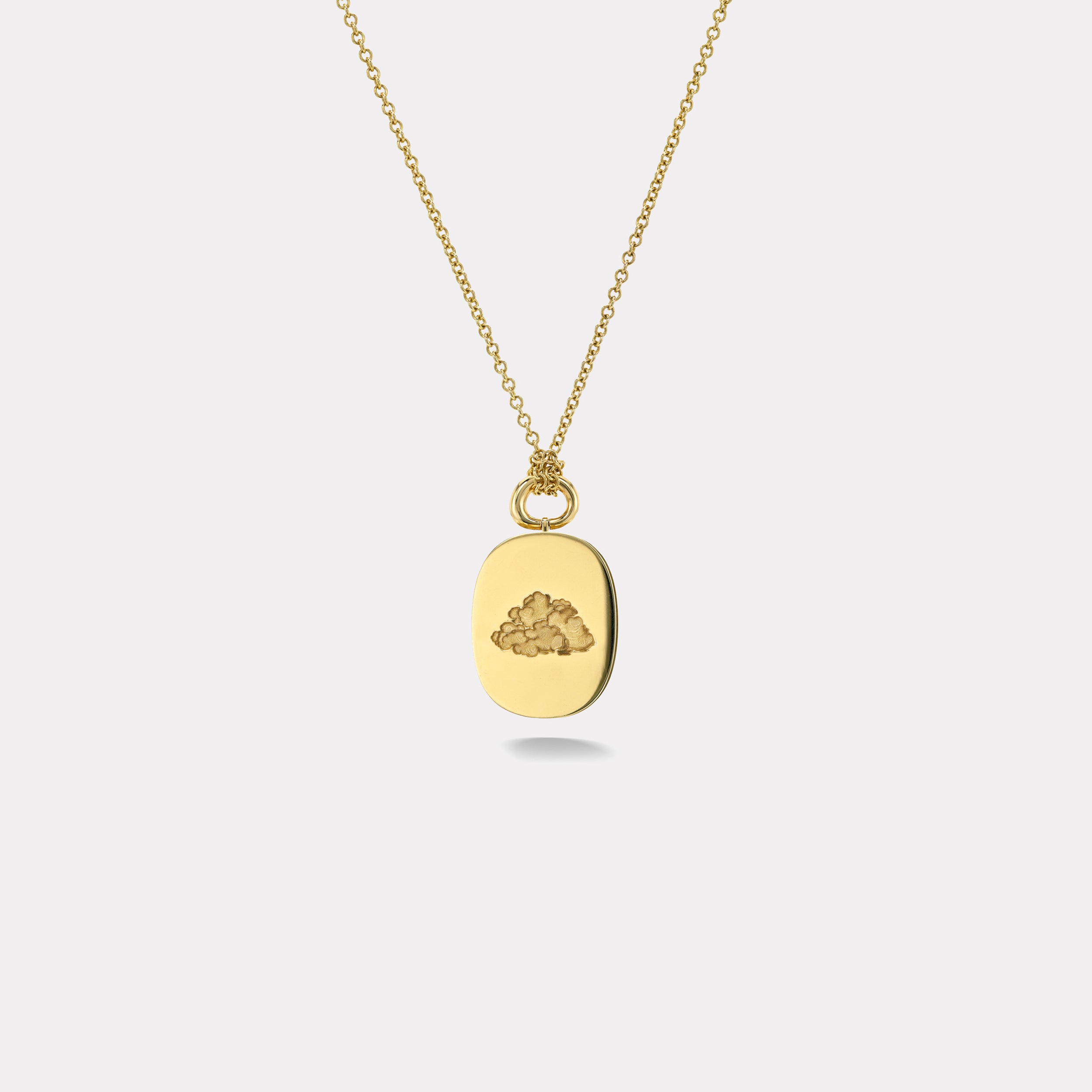 Retrouvai Classic Cloud Vein Locket