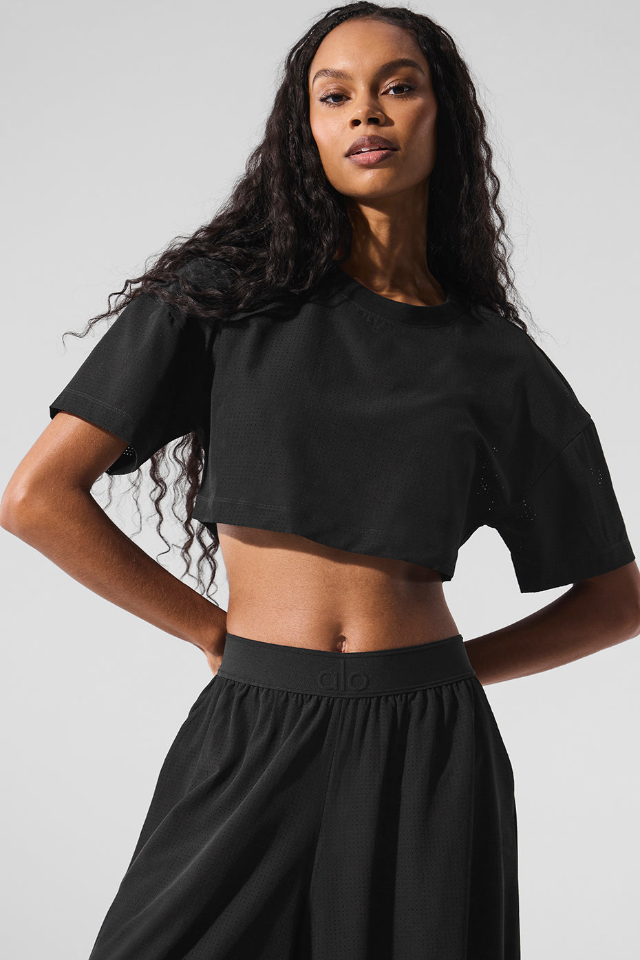 Aloyoga Mesh Cropped Mirage Tee - Black