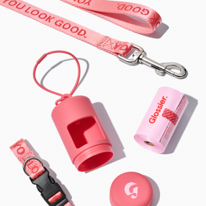 Glossier You Look Good Pet Set