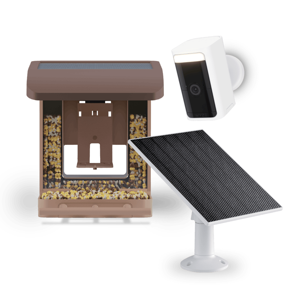 Wyze Bird Feeder Wireless Camera Bundle