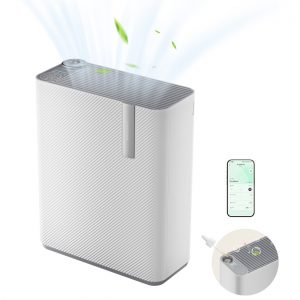 Dreame AP5 Air Purifier