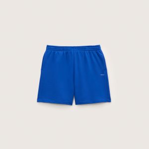 Pangaia Mens Midweight Shorts—Gaia Blue