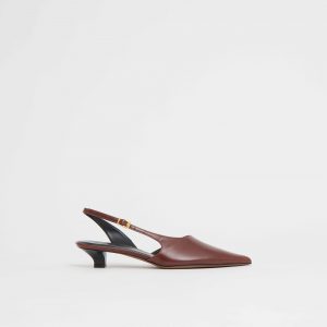 Mansurgavriel Anna Kitten - Sequoia