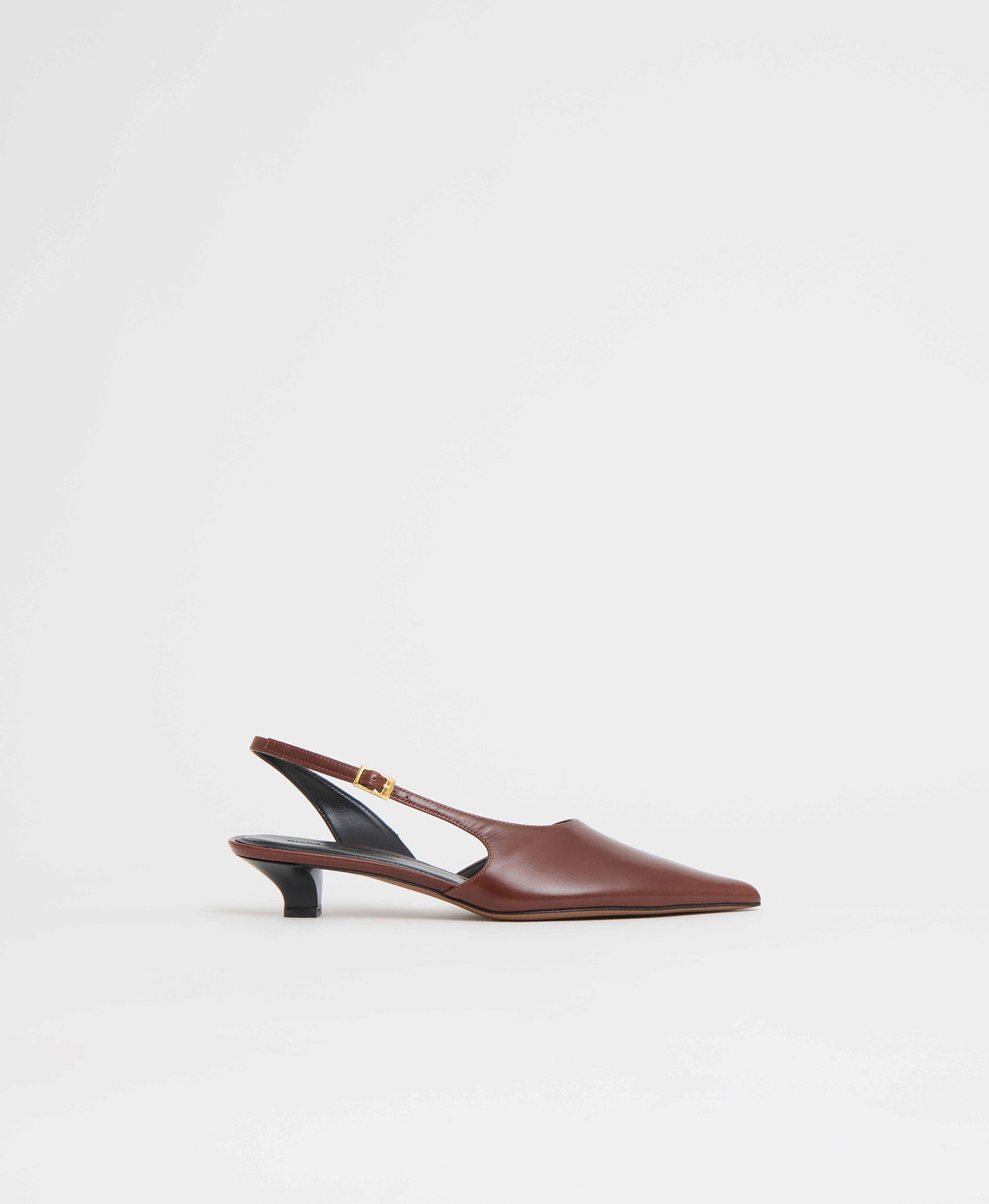 Mansurgavriel Anna Kitten - Sequoia