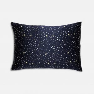 Brooklinen Rewards Mulberry Silk Pillowcase