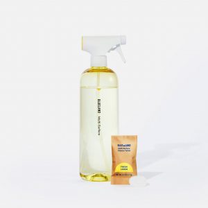 Blueland Multi-Surface Cleaner Starter Set (Bundle)