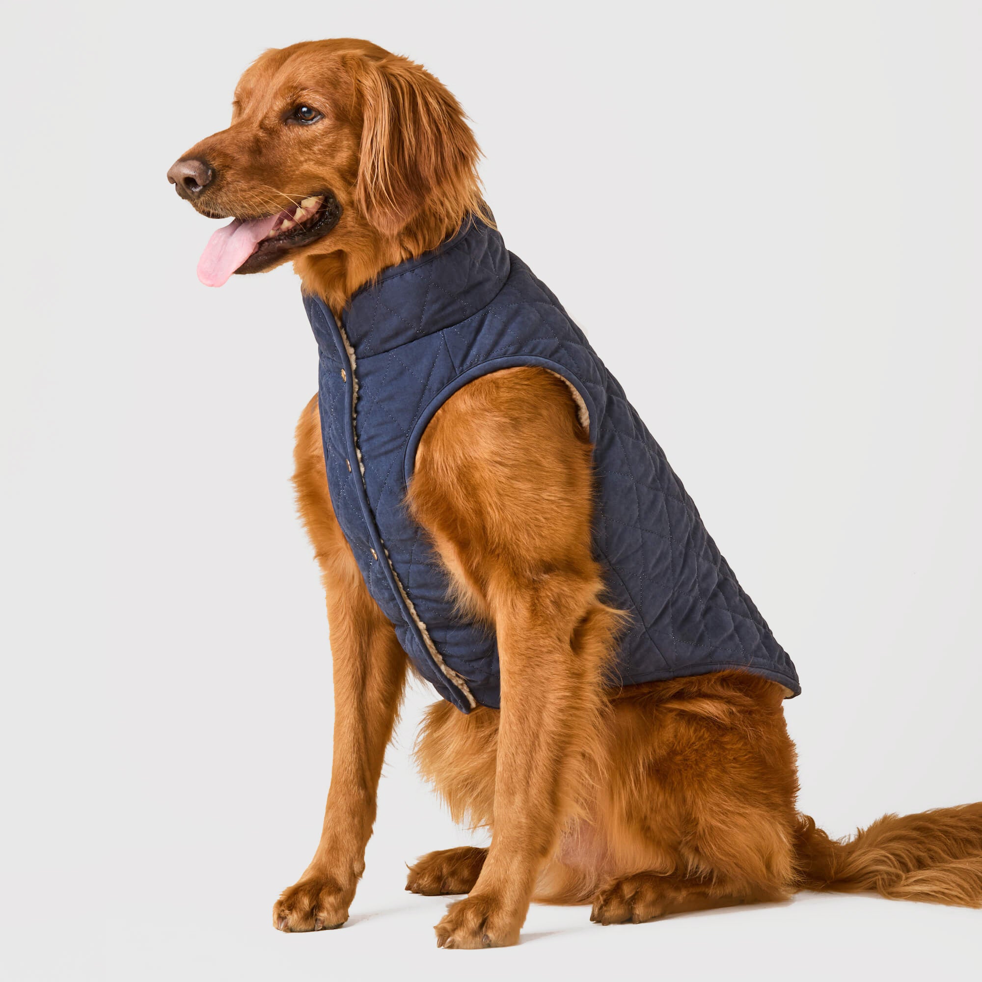 The Foggy Dog Navy Sherpa-Lined Reversible Dog Jacket