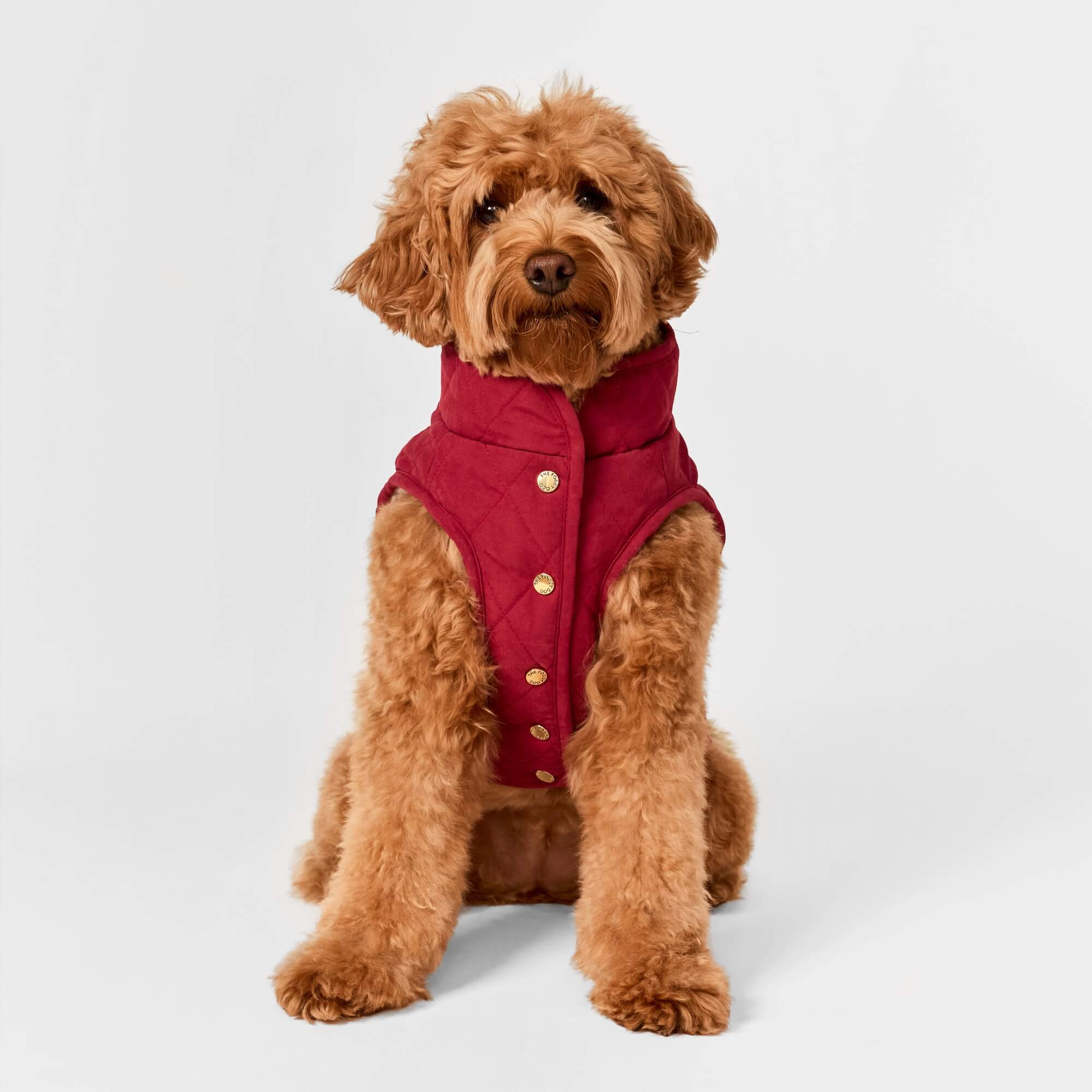 The Foggy Dog Currant Sherpa-Lined Reversible Dog Jacket