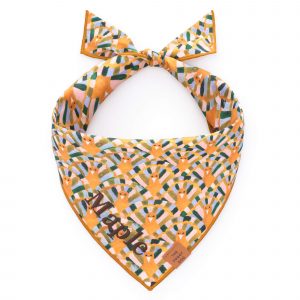The Foggy Dog Gobble Gobble Dog Bandana