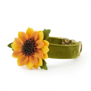 The Foggy Dog Sunflower Dog Collar Flower Set