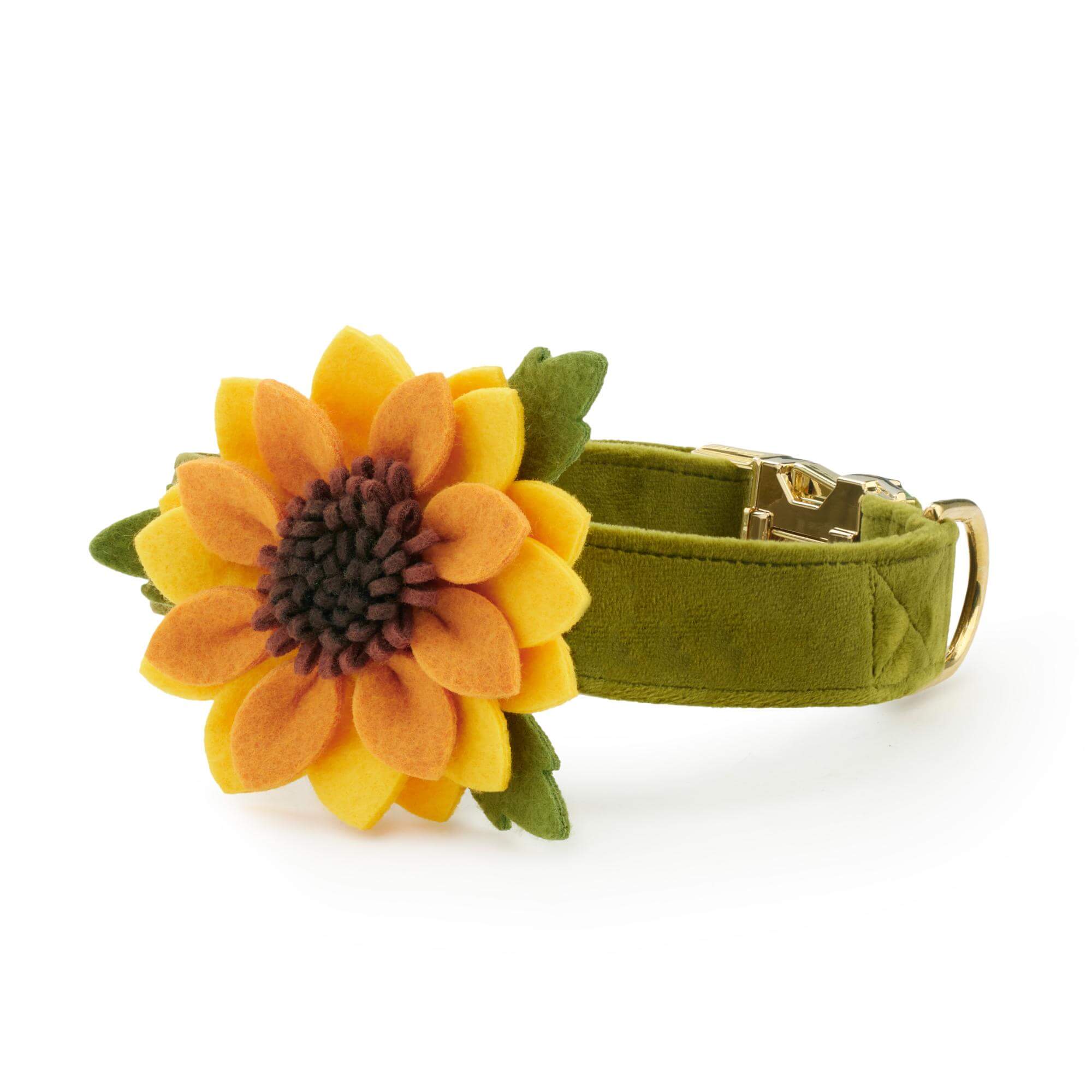The Foggy Dog Sunflower Dog Collar Flower Set