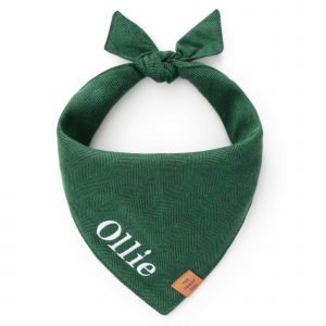 The Foggy Dog Evergreen Herringbone Flannel Dog Bandana