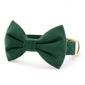 The Foggy Dog Evergreen Herringbone Flannel Bow Tie Collar