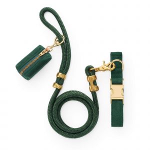 The Foggy Dog Evergreen Herringbone Flannel Collar Walk Set