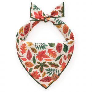 The Foggy Dog Falling Leaves Dog Bandana