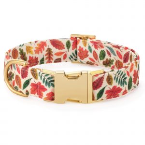 The Foggy Dog Falling Leaves Dog Collar