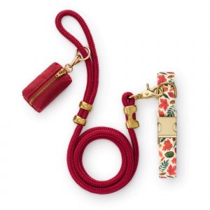 The Foggy Dog Falling Leaves Collar Walk Set