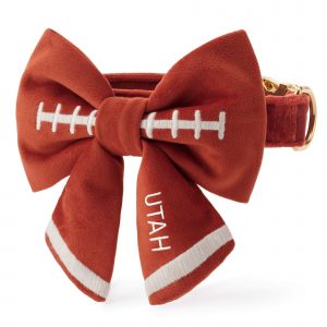 The Foggy Dog Football Embroidered Lady Bow Collar