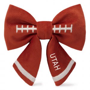 The Foggy Dog Football Embroidered Lady Dog Bow