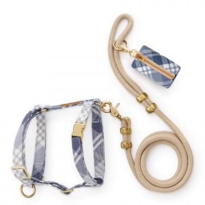 The Foggy Dog Hawthorne Plaid Flannel Harness Walk Set