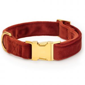 The Foggy Dog Nutmeg Velvet Dog Collar