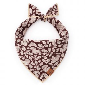 The Foggy Dog Squirrel! Dog Bandana