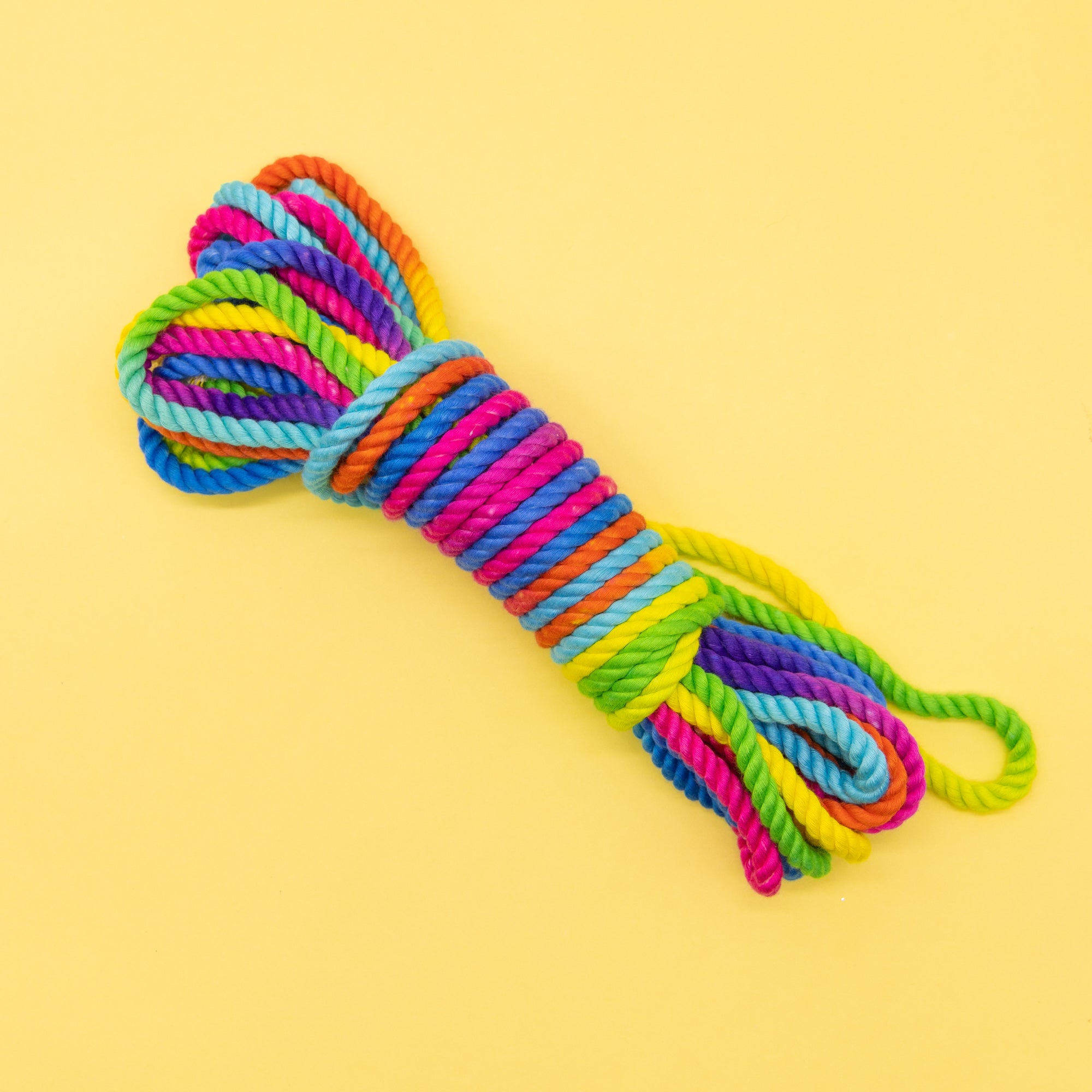 Dame Unicorn Rainbow Bondage Rope