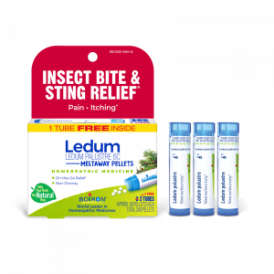 Grove Ledum Palustre 6C Meltaway Pellets + Bonus Pack - Insect Bite & Sting Relief