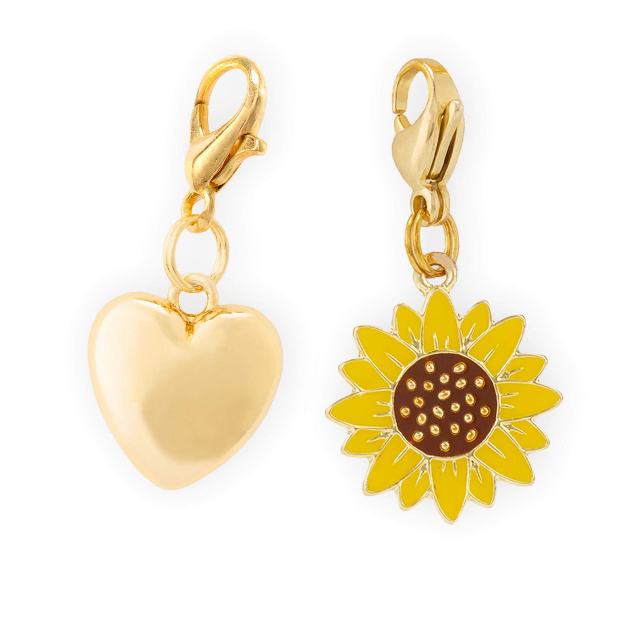 The Foggy Dog Love in Bloom Collar Charm Set