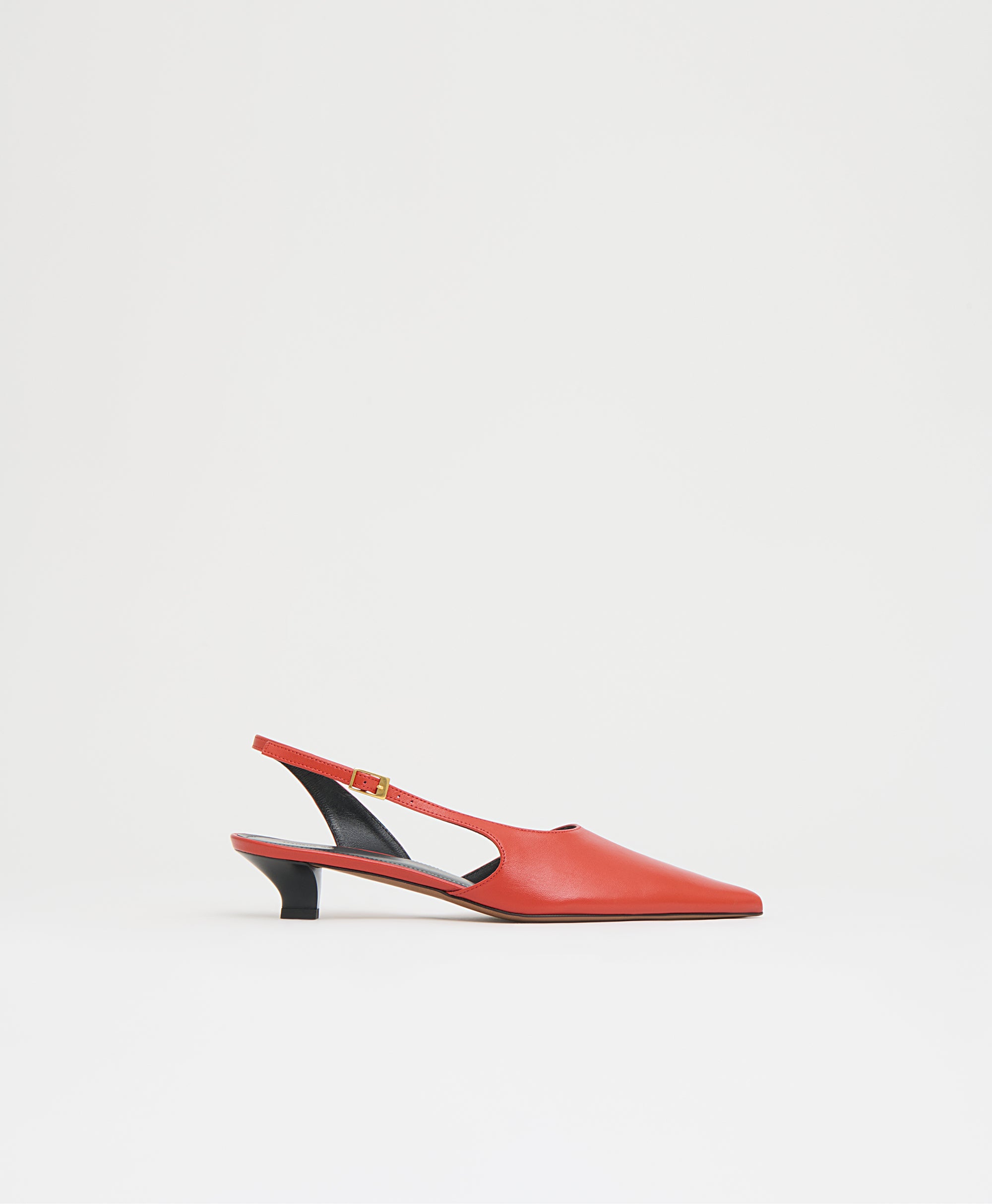 Mansurgavriel Anna Kitten - Pomodoro