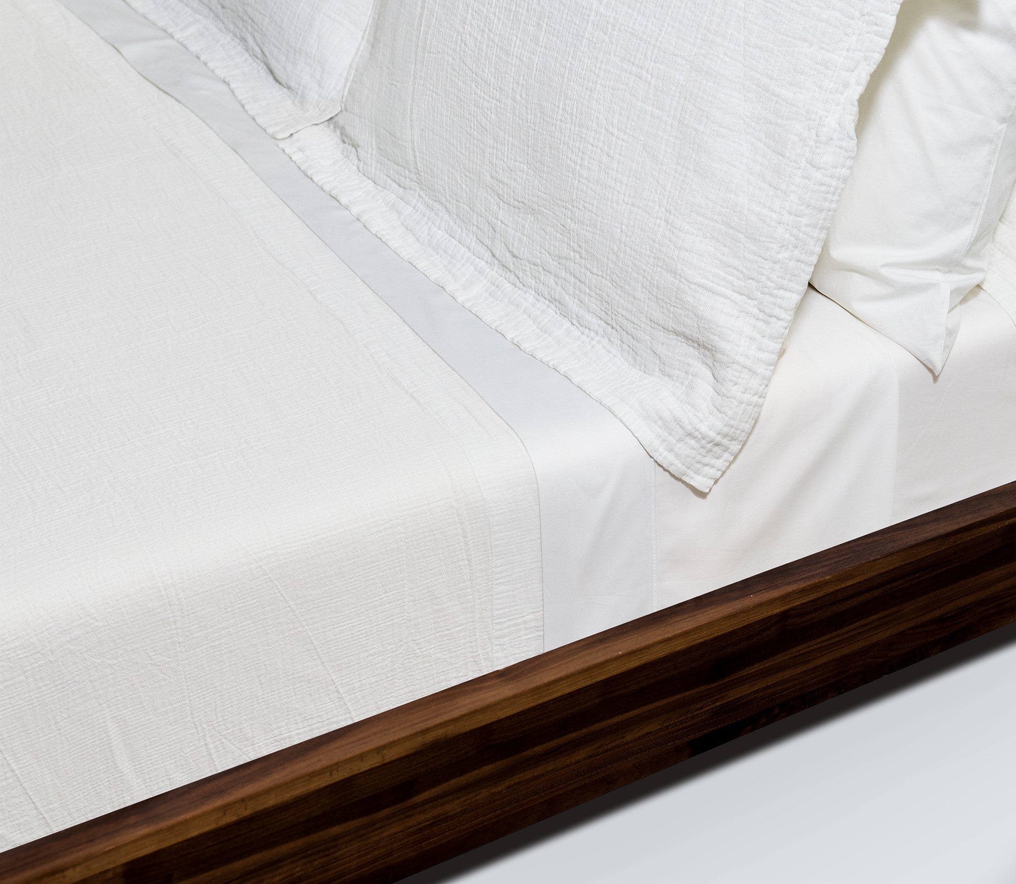 Snowe Softexture Blanket