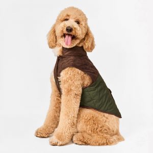 The Foggy Dog Olive Reversible Dog Jacket