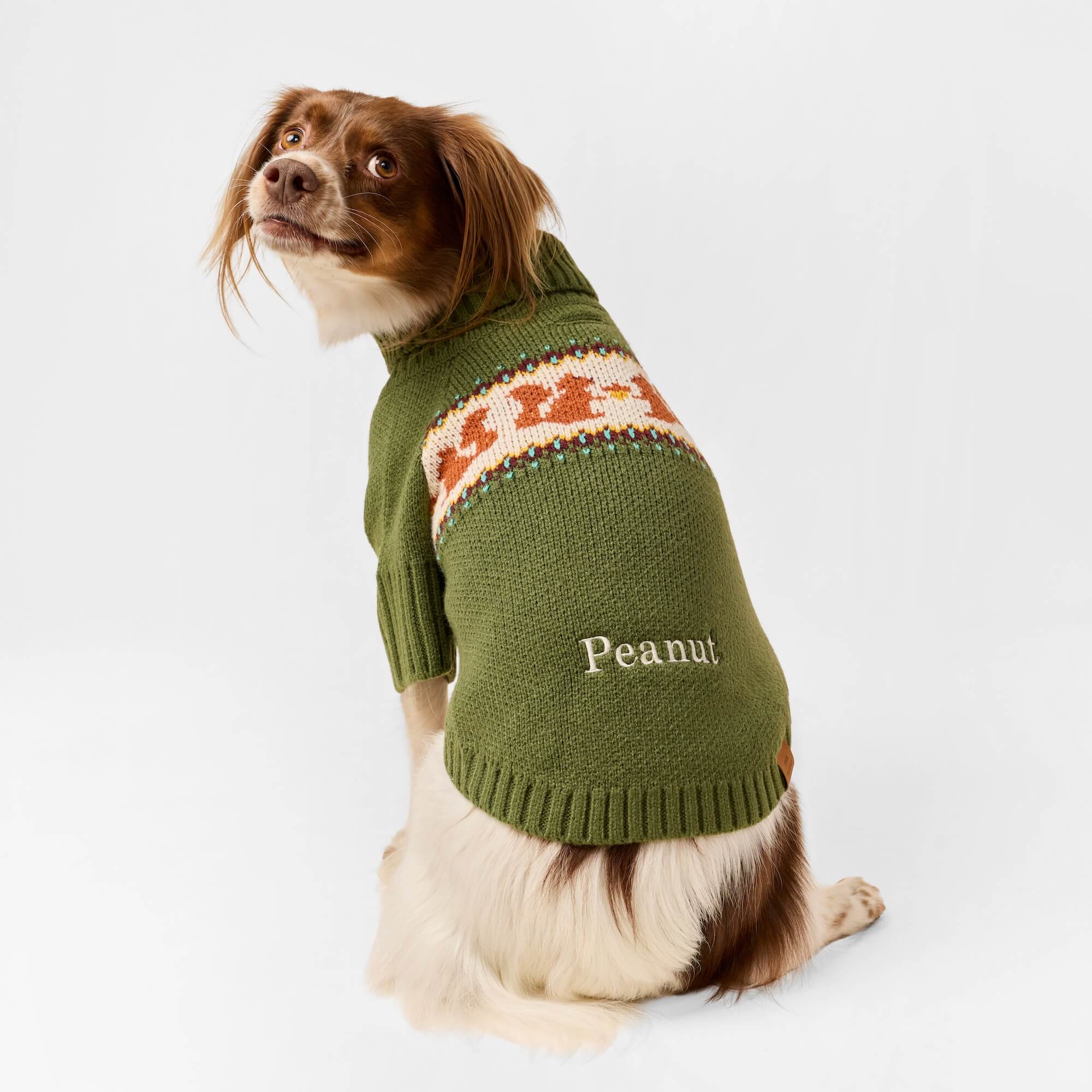 The Foggy Dog Squirrel Dog Sweater