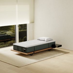 Floydhome The Mattress 2.0