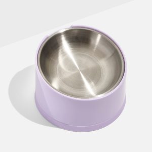 Wild One Slanted Cat Bowl