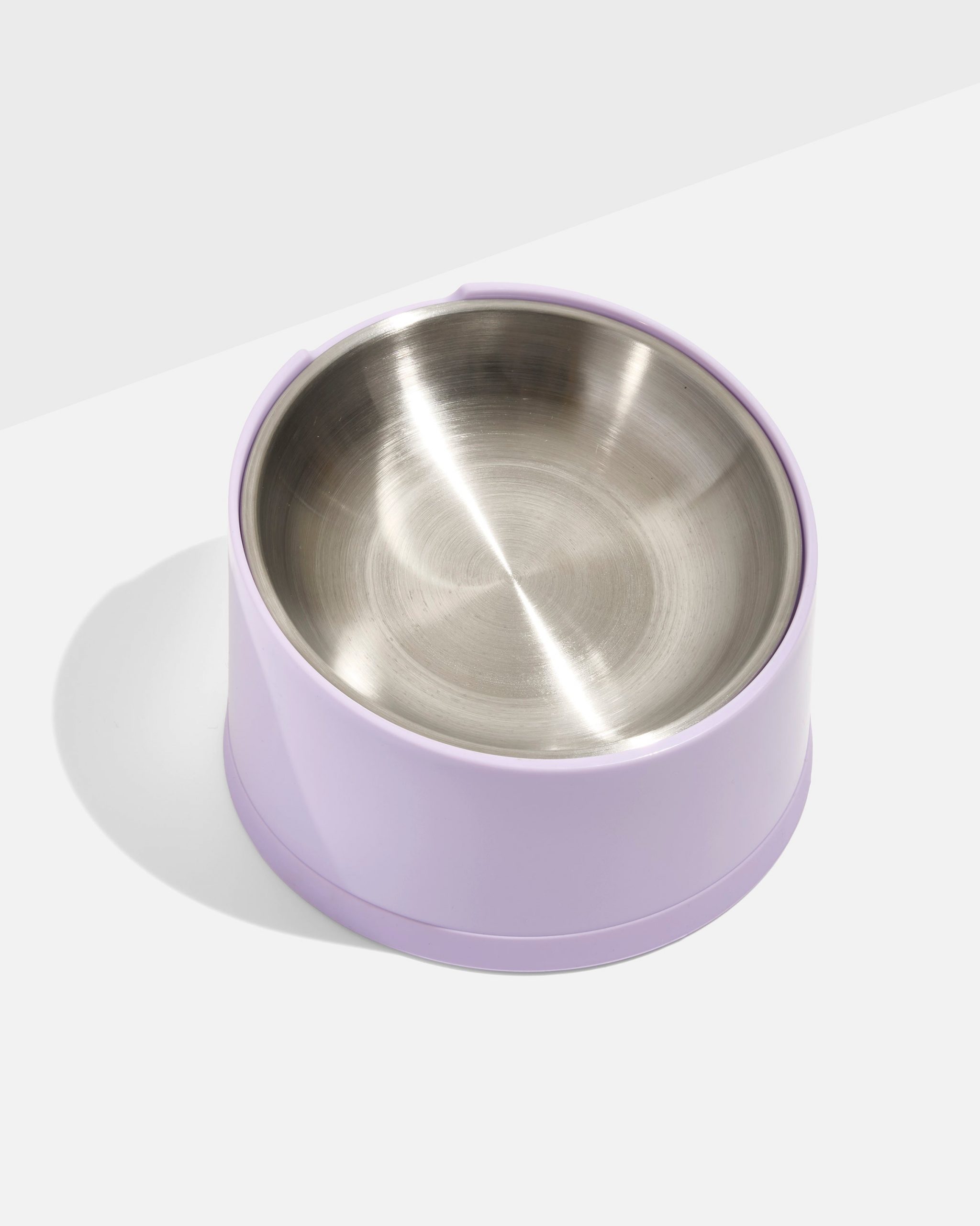 Wild One Slanted Cat Bowl
