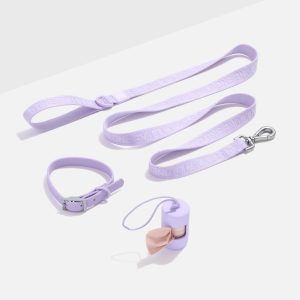 Wild One Waterproof Collar + Lightweight Leash Walk Kit